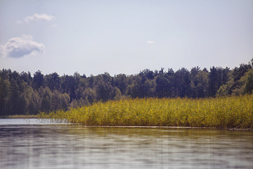 Lake with forest background in Sunny day