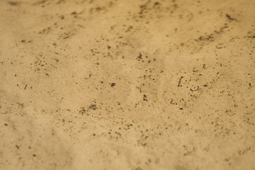 the texture of the sand at the water