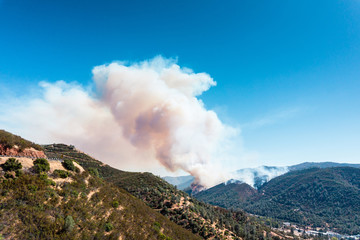 Fire in pine forest in Moccasin, California