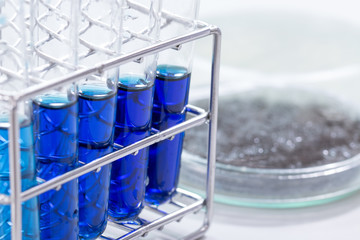 Bacteria in culture medium test tube for education in Laboratory.