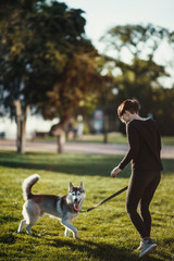 Naklejka na ściany i meble Beautiful young woman playing with funny husky dog outdoors at park 