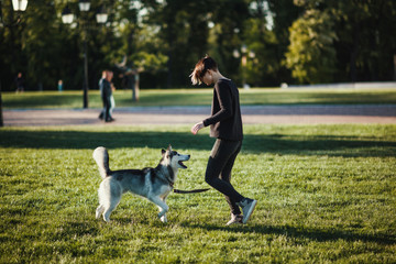 Naklejka na ściany i meble Beautiful young woman playing with funny husky dog outdoors at park 