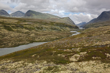 Fototapeta na wymiar Rivulet flows through tundra on high mountain plateau in Rondane National park, Norway