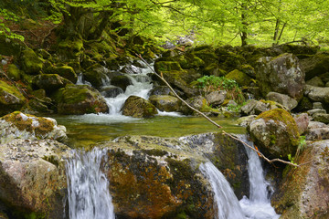 Bassin de la cascade d'Ars dans la forêt des Pyrénées à Aulus les Bains (09140), département de l'Ariège en région Occitanie, France	