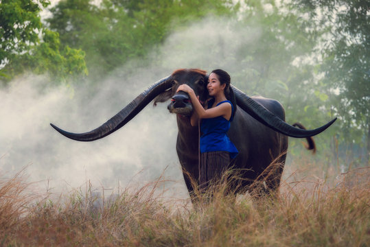 Portrait of Thai young woman farmer with buffalo
