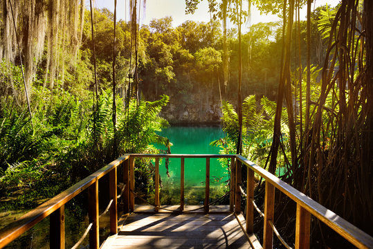Magnificent view of the mystery cave in the jungle, with sun rays  and wooden bridge in the underground lake. The 3 Eyes National Park (Los Tres Ojos) in Santo Domingo, Caribbean, Dominican Republic