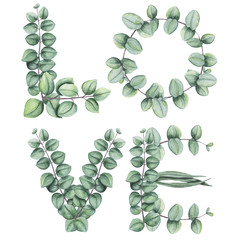 Słowo miłość z liści akwarela i eukaliptusa - 159457878