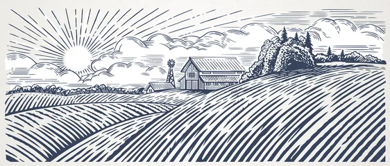 Fototapeten Ländliche Landschaft mit einem Bauernhof im Gravurstil. Handgezeichnet und in Vektor-Illustration umgewandelt © Rustic