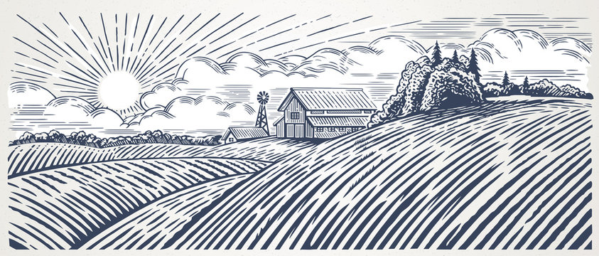 Rural landscape with a farm in engraving style. Hand drawn and converted to vector Illustration
