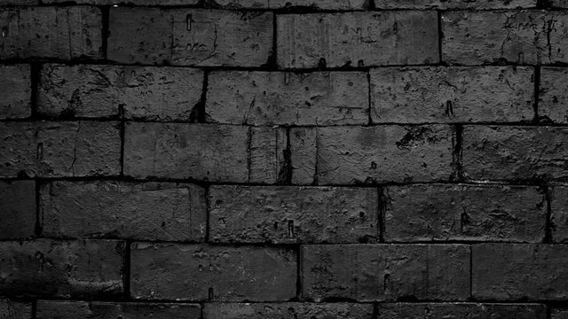 Brick wall falls in the background