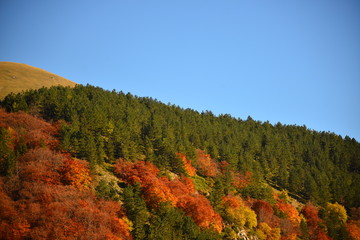 Colored autumnal mountains