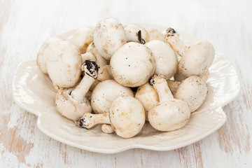 fresh mushrooms in white plate on wooden background