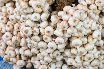 Close up of garlic in market at Bangkok, Thailand.
