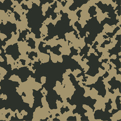Camouflage seamless pattern.