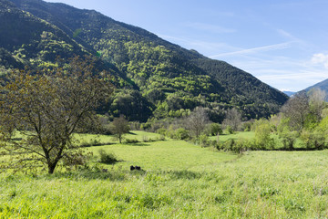 Obraz premium Landscape between broto and torla in the Pyrenees of Huesca