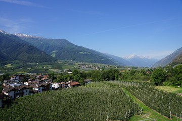 Fototapeta na wymiar Berglandschaft in Südtirol / Naturns 