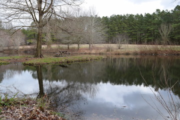 In The Park