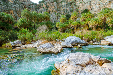 Naklejka na ściany i meble River and palm forest at Preveli, southern Crete , Greece