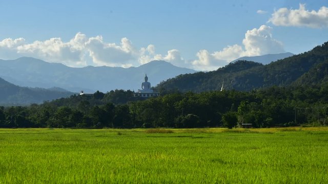 Time-Lapse of Wat Phra That Doi Lon of nature