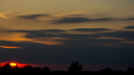 Obraz premium Mysterious sky during sunset. Silhouette of trees. Long clouds.