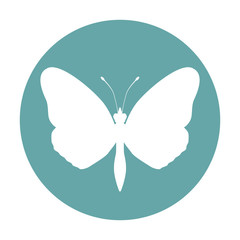 Beautiful Butterfly silhouette icon vector illustration graphic design