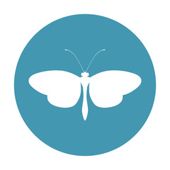 Beautiful Butterfly silhouette icon vector illustration graphic design