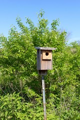 A wood birdhouse with the tree and the sky in the background.