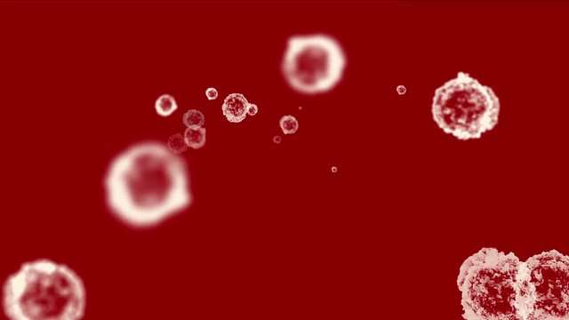 4k Abstract cells virus dust particles background.