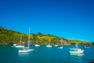 Fototapeta na wymiar Sailing yachts in Waiheke Island, New Zealand. with a beautiful blue sky and magenta water in a sunny day