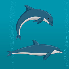 cartoon dolphins in different poses