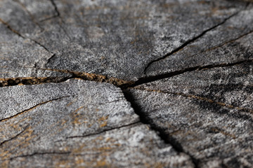 Grunge break wooden background texture