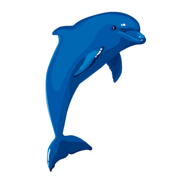 Vector Blue Dolphin Jumping