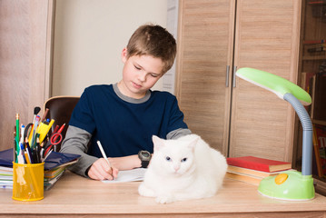 Pre-teen boy doing his homework at home in his room with white cat on his desk.