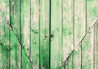 Background of green wood