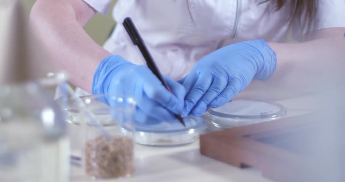 Jars with seeds, mold, parasites in a laboratory