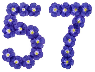 Arabic numeral 57, fifty seven, from blue flowers of flax, isolated on white background