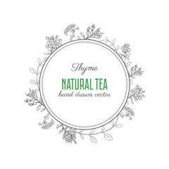 Hand drawn Thyme branch with leaves sketch isolated on white, vector round frame, Healing herb, Botanical Illustration, Perfect for cards, invitations, packaging,label and other project