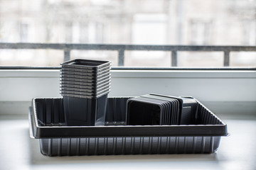 New empty plastic containers for vegetable seedlings on the windowsill