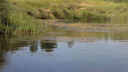 Water surface and the coastline 