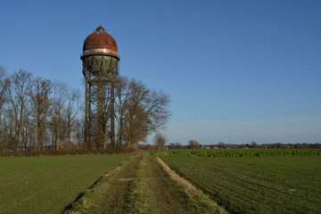 Fototapete bei efototapeten.de bestellen   