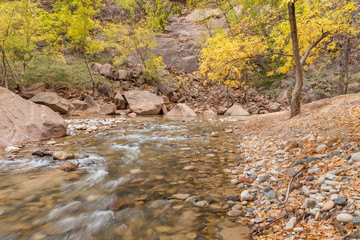 Autumn on the Virgin River Zion National Park Utah