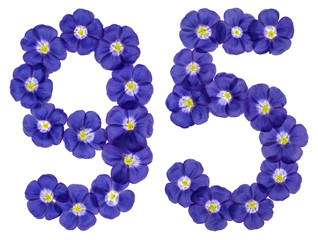 Arabic numeral 95, ninety five, from blue flowers of flax, isolated on white background