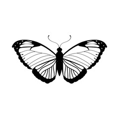 Beautiful Butterfly silhouette icon vector illustration graphic design