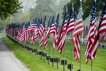 american flags line roadway