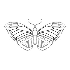 Beautiful Butterfly silhouette icon vector illustration graphic design