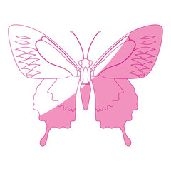 Beautiful Butterfly silhouette icon vector illustration graphic design