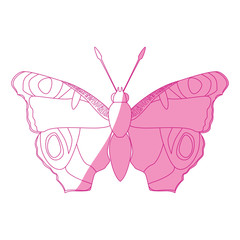 Beautiful Butterfly silhouette icon vector illustration graphic design