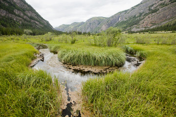 Fototapeta na wymiar Swamp in Altai mountains