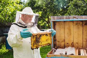 beekeeper with bees outdoor