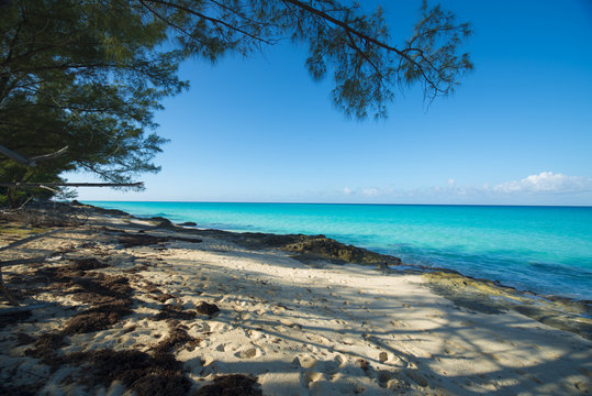 Bimini Beach Bahamas 